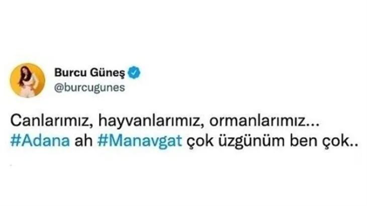 Ünlü isimler orman yangınlarına sessiz kalmadı!