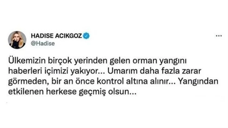 Ünlü isimler orman yangınlarına sessiz kalmadı!