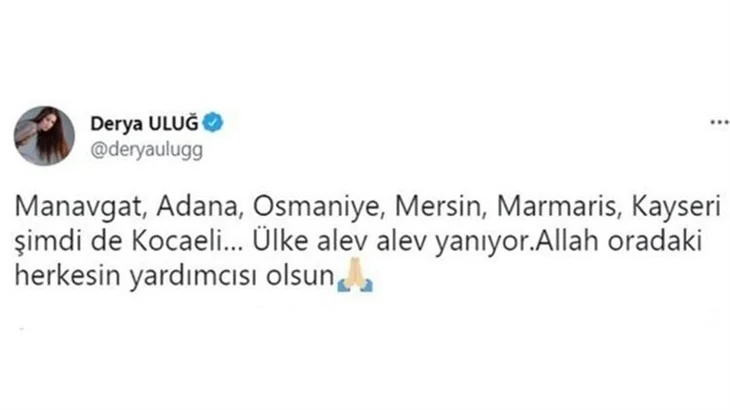 Ünlü isimler orman yangınlarına sessiz kalmadı!