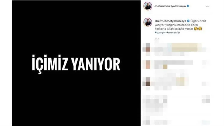 Ünlü isimler orman yangınlarına sessiz kalmadı!