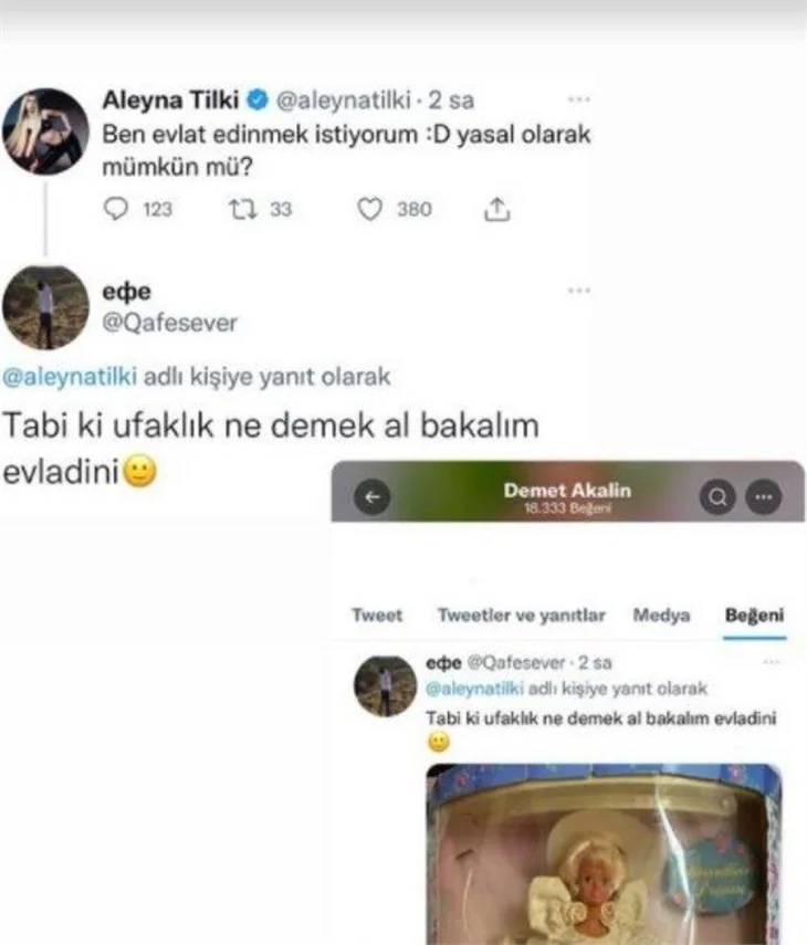Aleyna Tilki evlat edinmek istiyor!