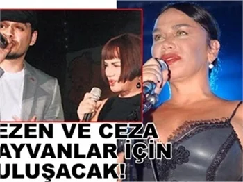 HAYVANLAR İÇİN BULUŞACAKLAR!