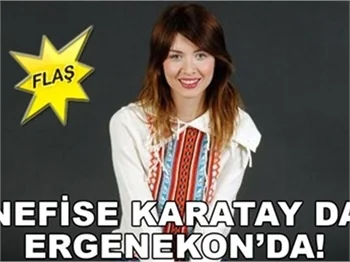 NEFİSE KARATAY DA ERGENEKON'DA