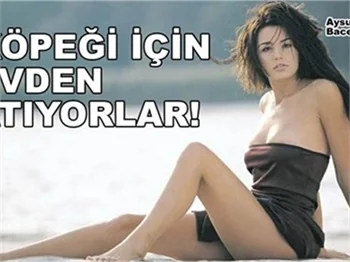 KÖPEĞİ İÇİN EVDEN ATILIYOR!