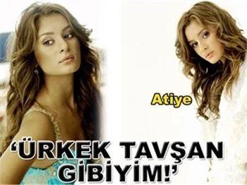 ÜRKEK TAVŞAN GİBİYİM’