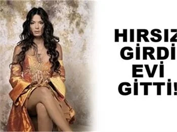HIRSIZ GİRDİ, EVİ GİTTİ!