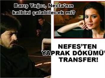 NEFES'TEN YAPRAK DÖKÜMÜ'NE TRANSFER