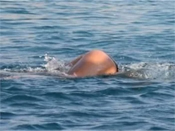 Asena yıllar sonra ilk kez bikiniyle!