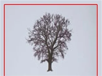 "YAPRAK DÖKÜMÜ" DİZİSİNİN KİTABI ÇIKTI!