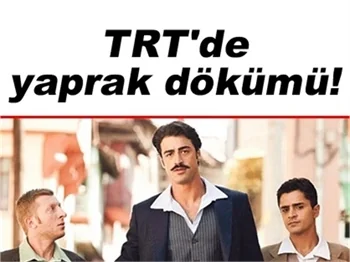 'MOR MENEKŞELER' EKRANLARA VEDA EDİYOR!