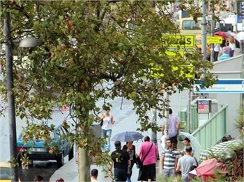 İstanbul'da yaz yağmuru!