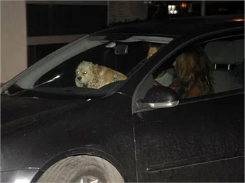 Özge Özder nereye saklanacağını bilemedi!