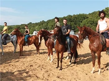 "Fatih"te at krizi!