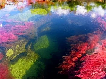 Dünyanın en güzel nehri!