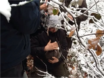 Kurtlar Vadisi'nden Hayvan haklarına saygı!
