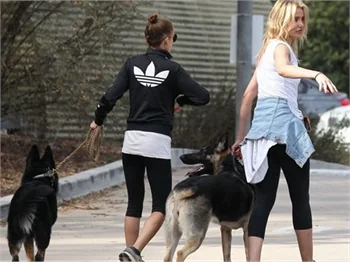 Köpek dolaştırma dostluğu!