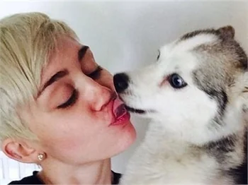 Miley Cyrus konserde ağladı