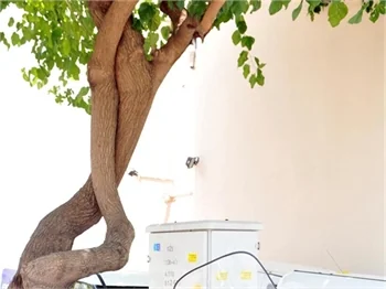 Antalya'da serinleme çabası!