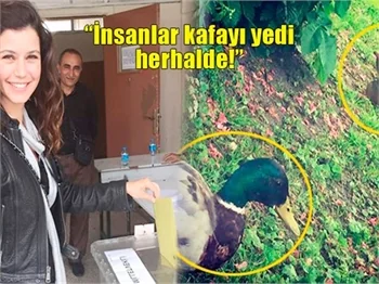 Beren Saat'ten sert tepki: İnsanlar kafayı yedi herhalde!