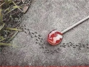 En komik Ramazan capsleri!