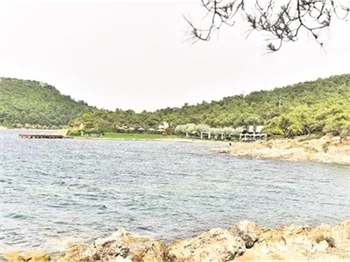 Kenan İmirzalıoğlu ile Sinem Kobal bugün evleniyor
