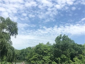Asena Tuğal, eğitim için Amerika'da!