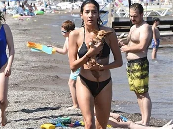 Aybüke Pusat neden sinirlendi?