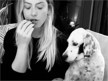 Hadise ve Benek’in film ve mısır keyfi!