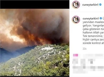 Ünlü isimler orman yangınlarına sessiz kalmadı!
